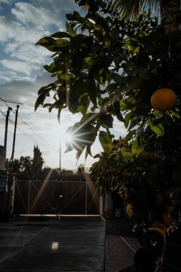 Cabana R Y A Valle De Guadalupe Εξωτερικό φωτογραφία